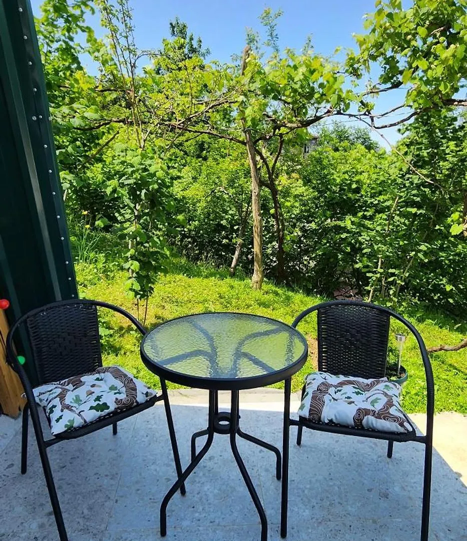 Apartment Daiana Green House Batumi Georgia