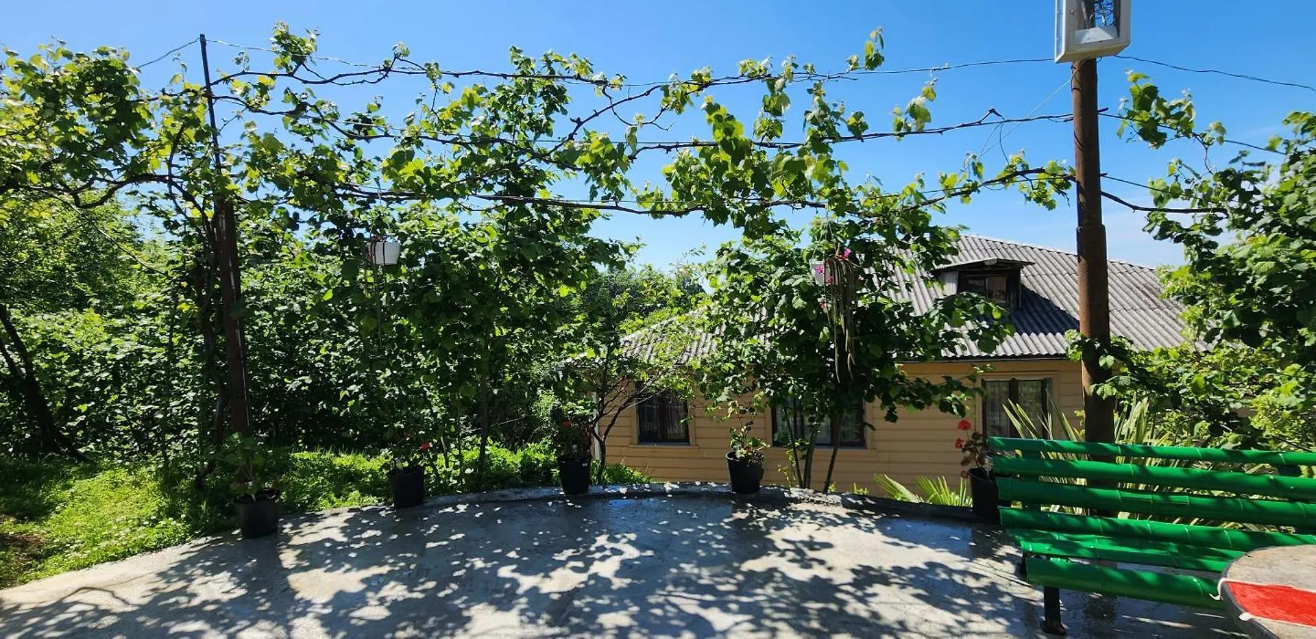 Daiana Green House Batumi