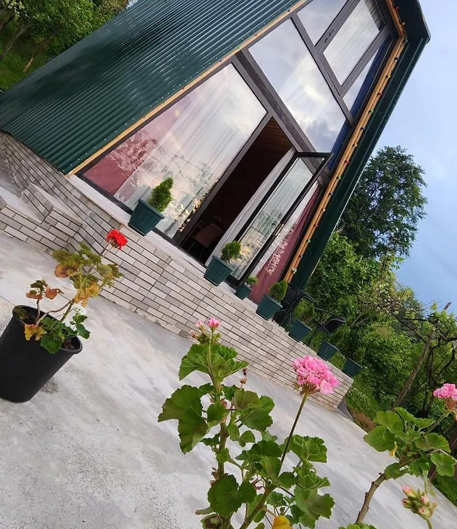 Daiana Green House Batumi 0*,
