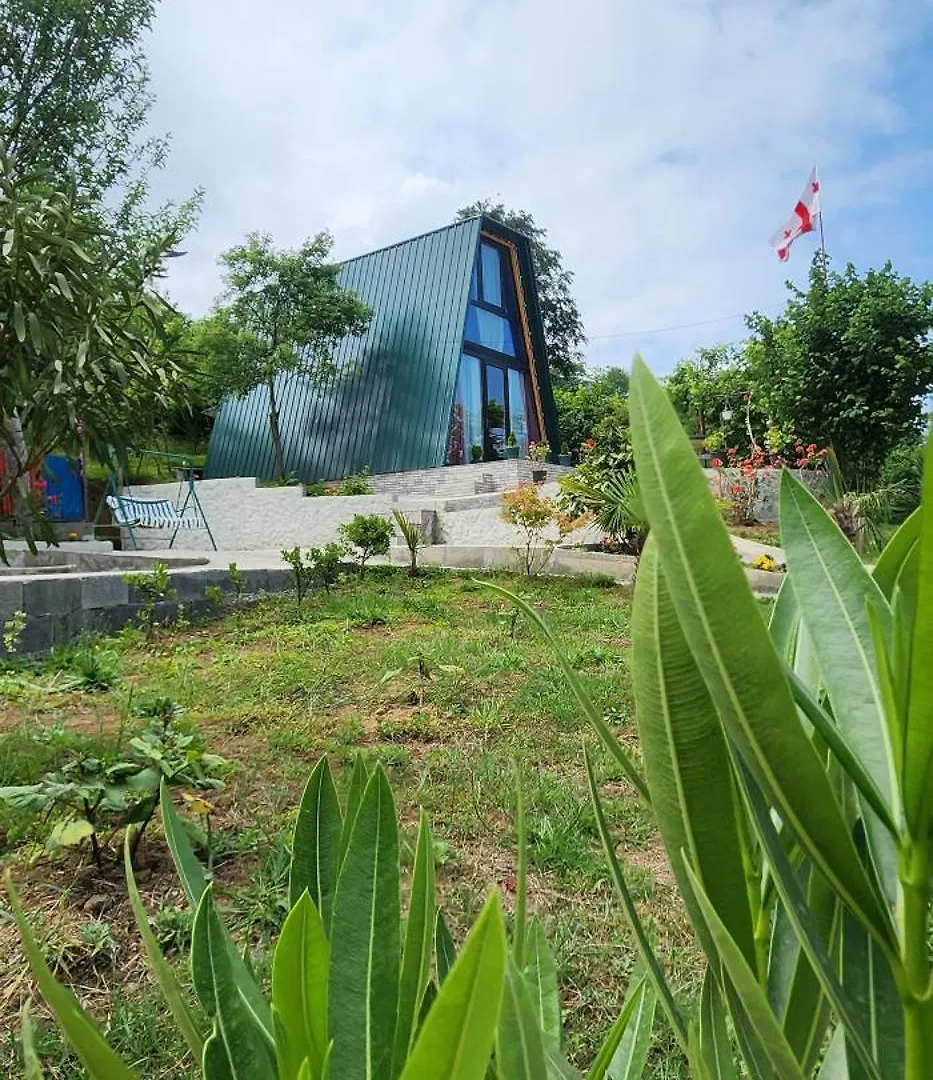Daiana Green House Batumi 0*,  Georgia